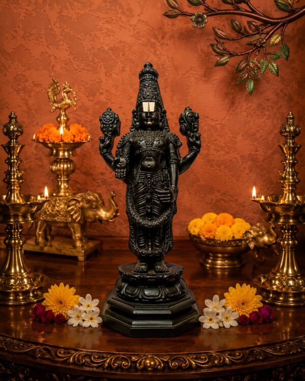 Lord Balaji Divine Darshan Idol